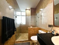Serangoon Garden Estate (D19), Semi-Detached #477916561